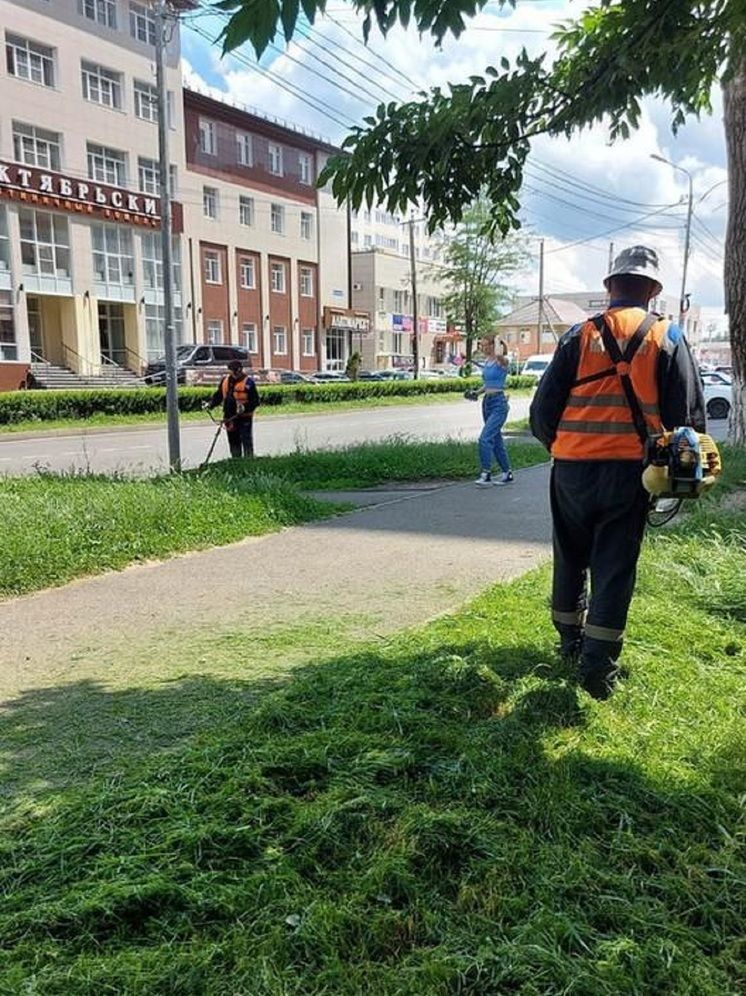 Жителям Ставрополя напомнили о сохраняющейся активности иксодовых клещей