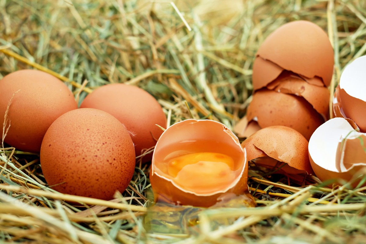 Жителям Ставрополя предложили купить недорогие куриные яйца