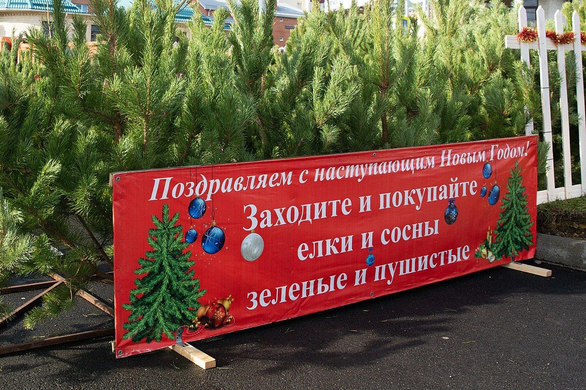 В Ставрополе скоро начнут работу 16 елочных базаров