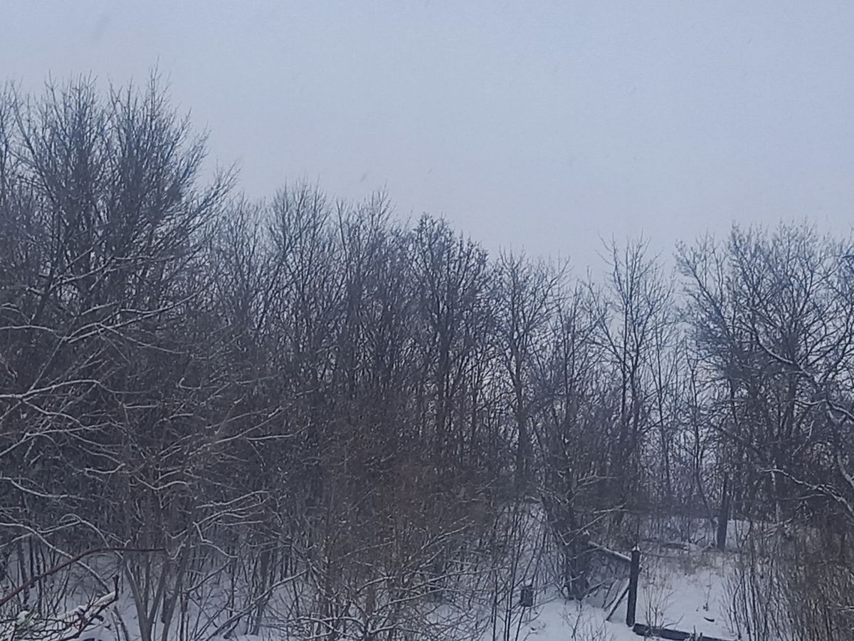 Начало новой недели в Ставрополе будет морозным