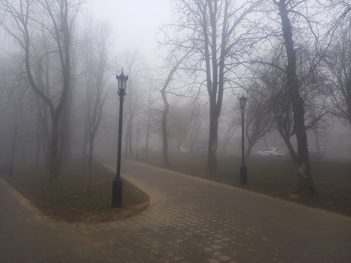 Рабочая неделя в Ставрополе началась с тумана