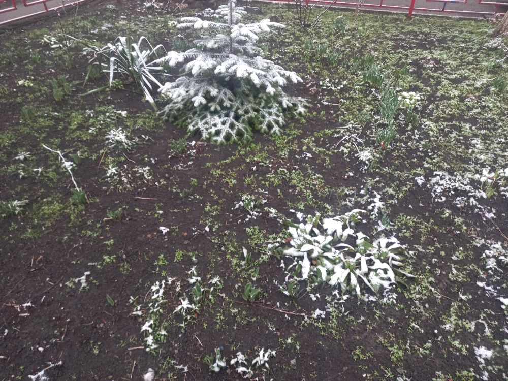 В Ставрополе утром 23 марта выпал снег