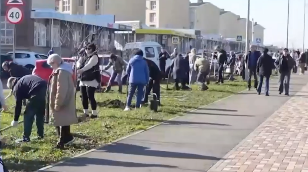 В Михайловске высадили деревья в память о героях СВО