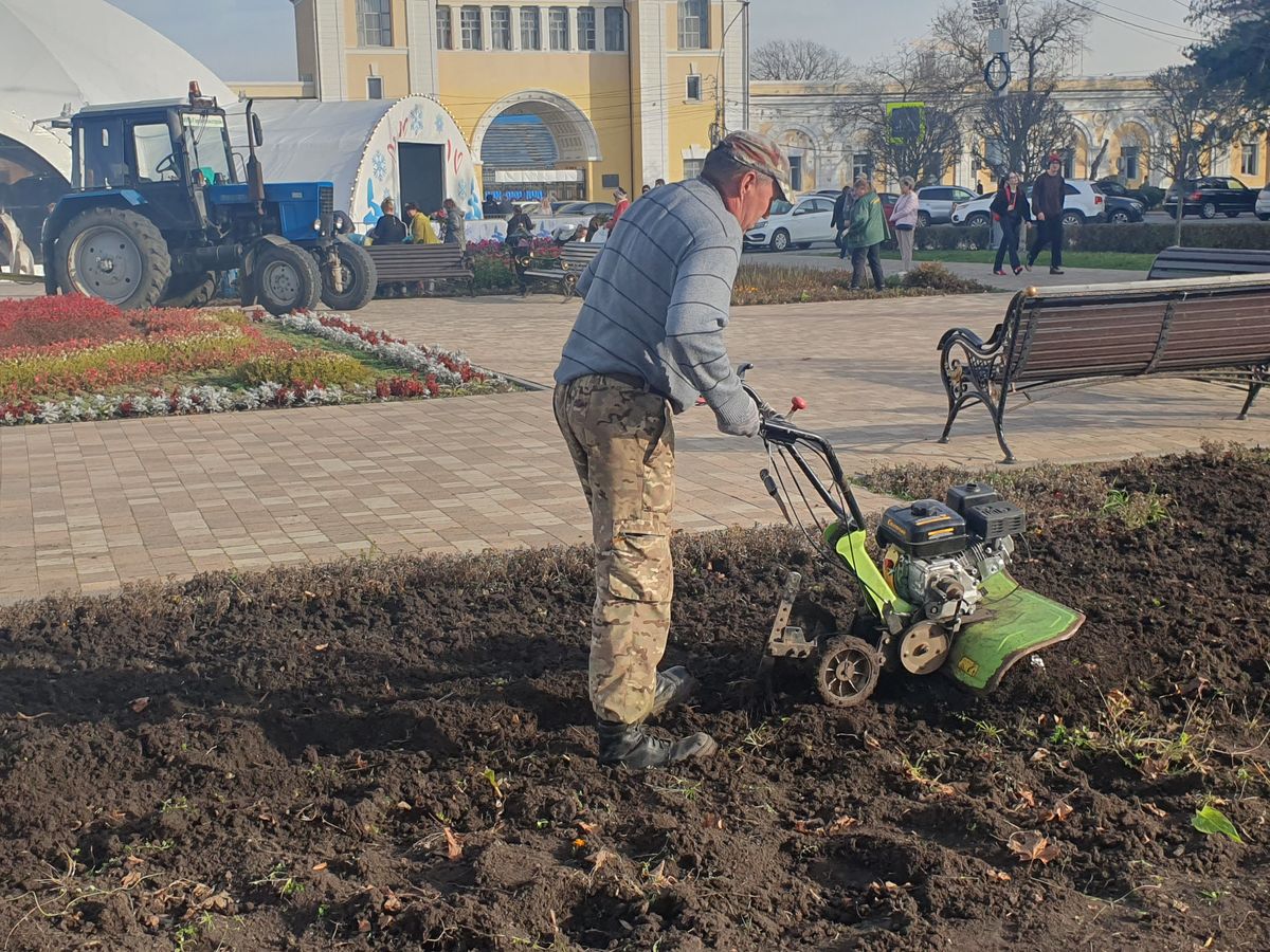В центре Ставрополя клумбы подготовили к зиме