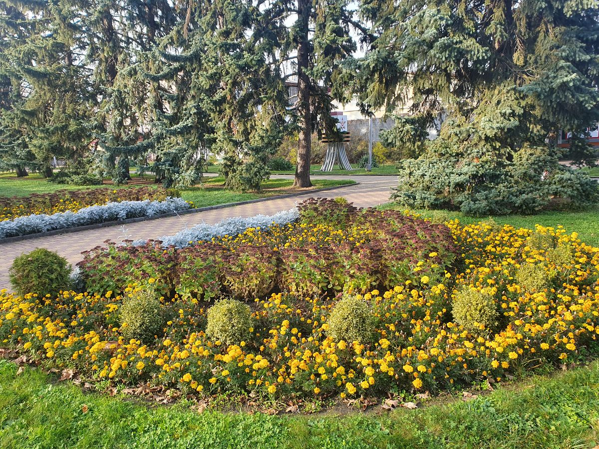 За несколько дней до декабря Центральный парк Ставрополя порадовал летними красками