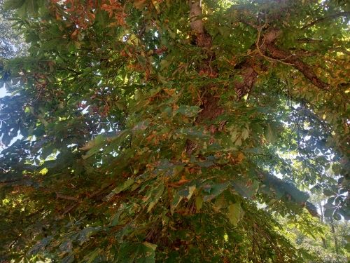 Команда проекта по диспансеризации репродуктивного здоровья жителей Ставрополья доложила о результатах работы