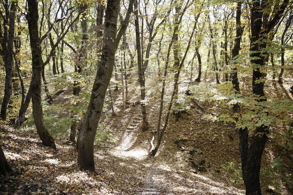 Тайны Татарского городища принесли Ставрополю премию «Серебряный Лучник» – Юг