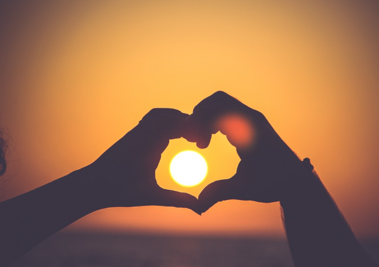 На Ставрополье появится новое производство растительного масла