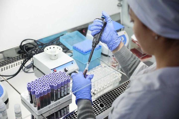 Генетики Ставрополья создают уникальные породы овец