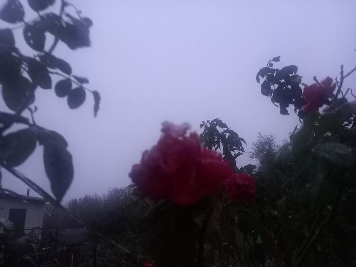 В Ставрополе 9 октября выпал первый снег