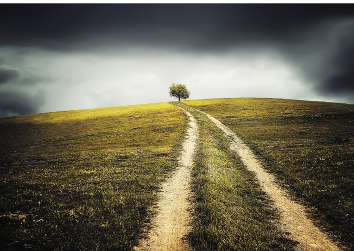 Новый земельный участок приобретут для кладбища в Ставрополе