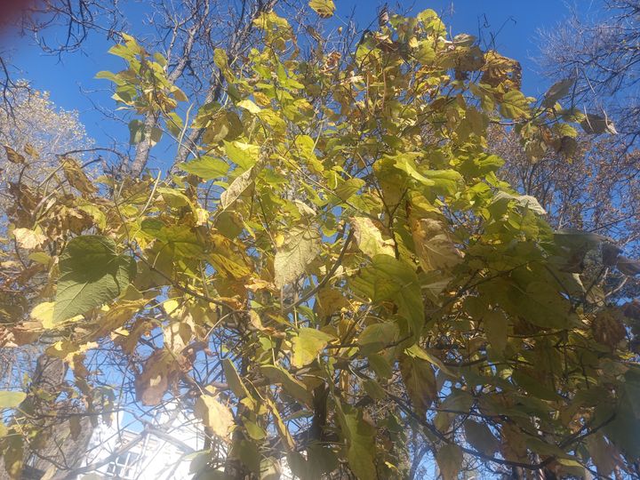 В Ставрополе погода 1 ноября была июньской