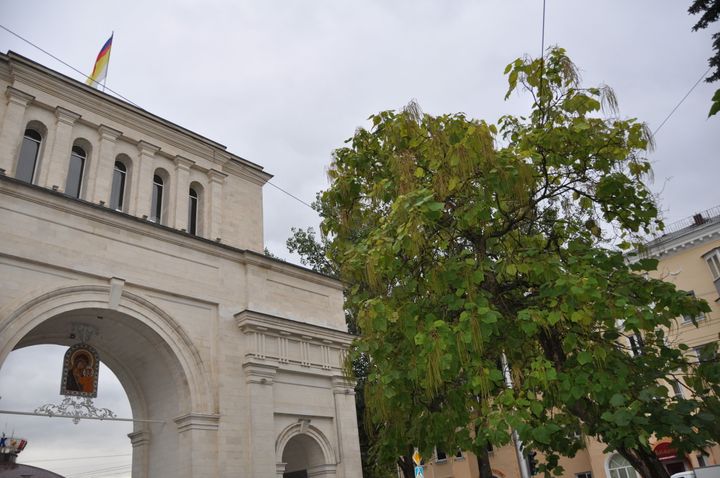 Фильм о Триумфальной арке Ставрополя появится на жестовом языке