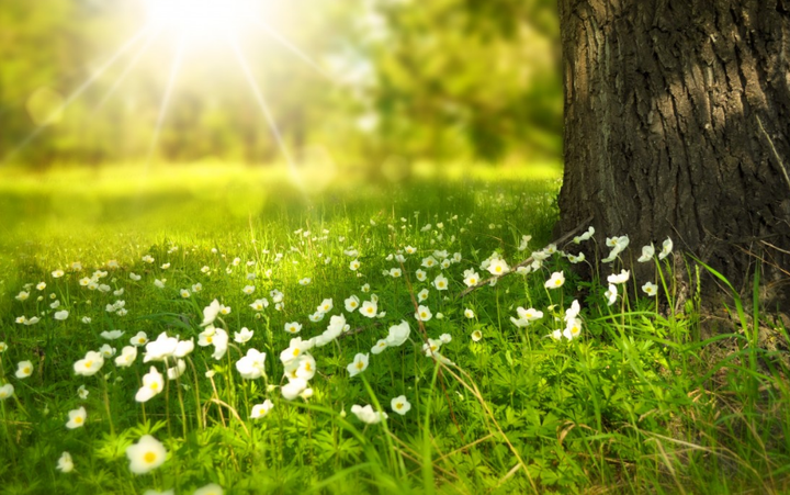 В Ставрополе в 26-й раз выберут победительниц конкурса «Женщина года»