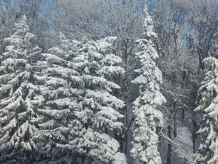 К концу рабочей недели в Ставрополе станет морозно