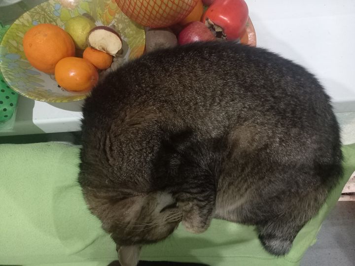 В Ставрополе к выходным потеплеет до плюс 16