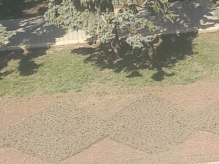 До 23 градусов тепла прогнозируется в Ставрополе в начале апреля