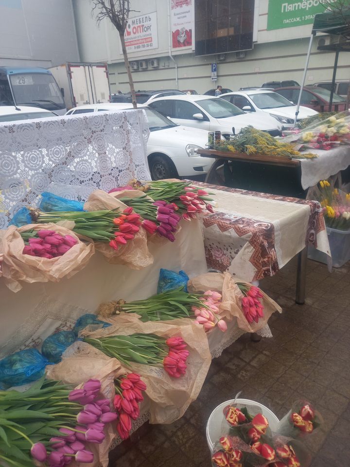 На 8 марта женщинам Ставрополя дарили тюльпаны и мимозу