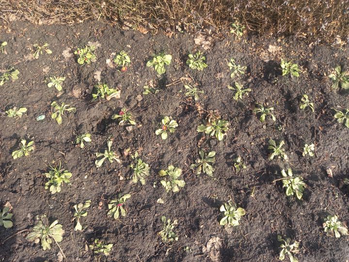 Штормовое предупреждение объявлено на Ставрополье до 1 июня