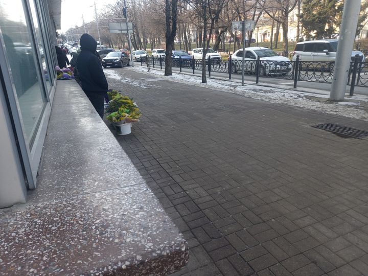 В Ставрополе в День влюбленных продавали мимозу