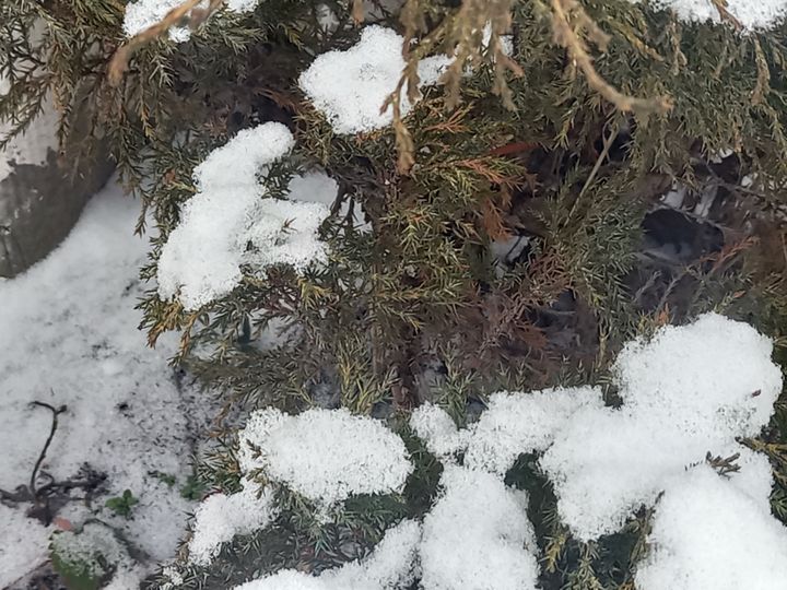 В Ставрополь идут снегопады и морозы