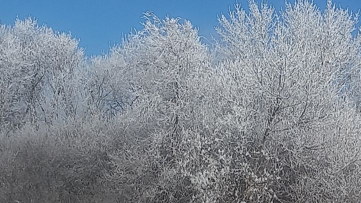 В Ставрополе потеплеет к середине недели