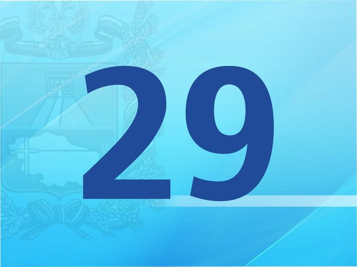 Дума Ставрополья приняла 29 законов, направленных на поддержку участников СВО
