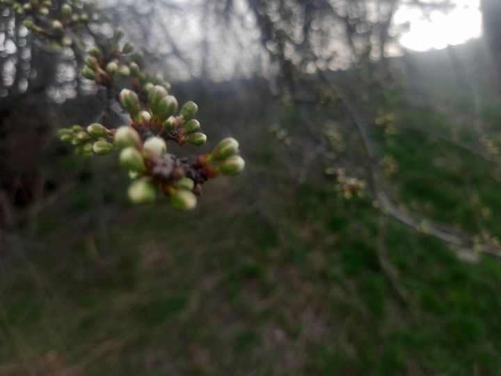 На Ставрополье в начале новой июльской недели немного «похолодает»
