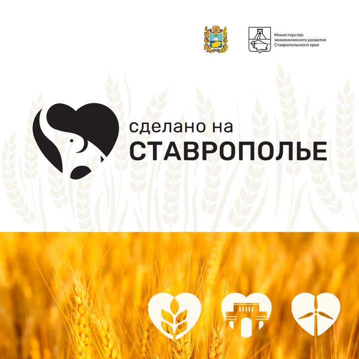 На Ставрополье стартовал прием заявок для выхода на первый региональный маркетплейс