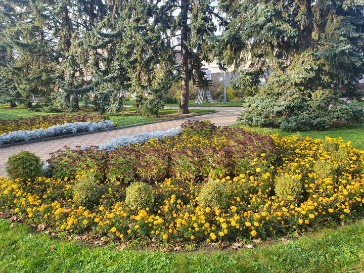 За несколько дней до декабря Центральный парк Ставрополя порадовал летними красками