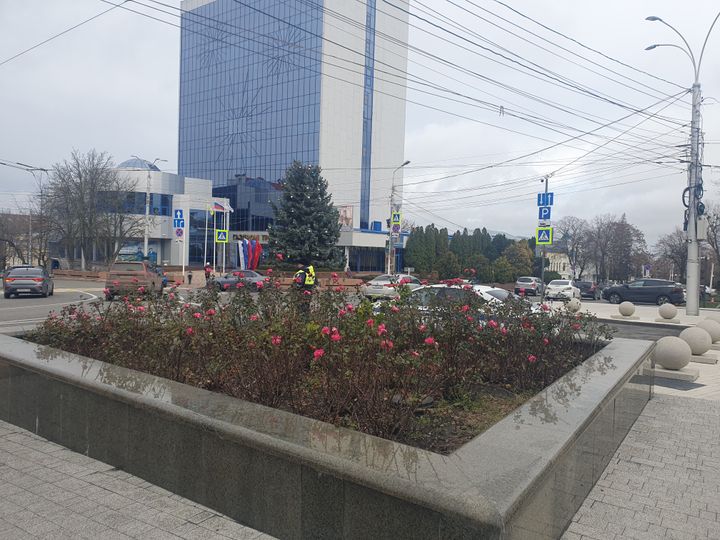 В Ставрополе первый снег выпадет 15 декабря