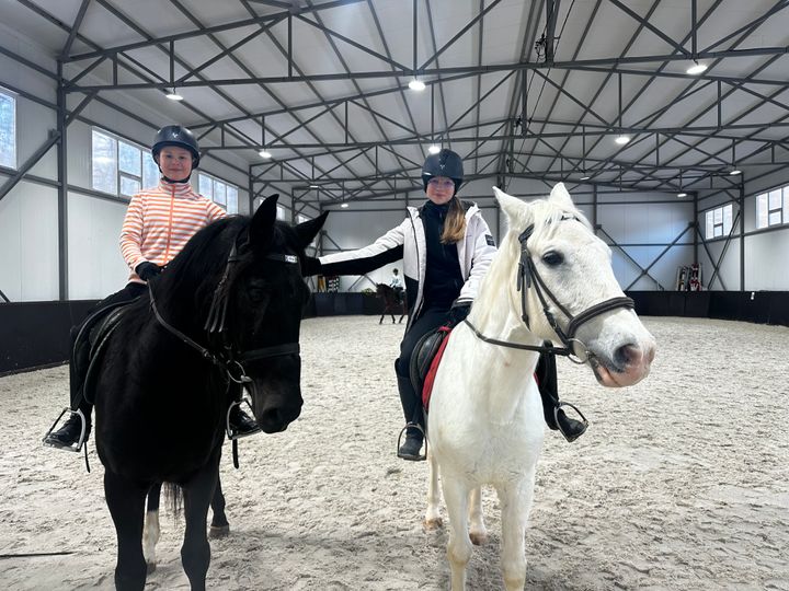 В парке Победы Ставрополя соревнования по конкуру станут парадом новогодних костюмов