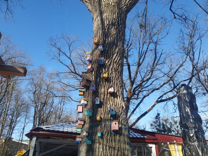 В парке Центральном птицам подготовили нарядные домики