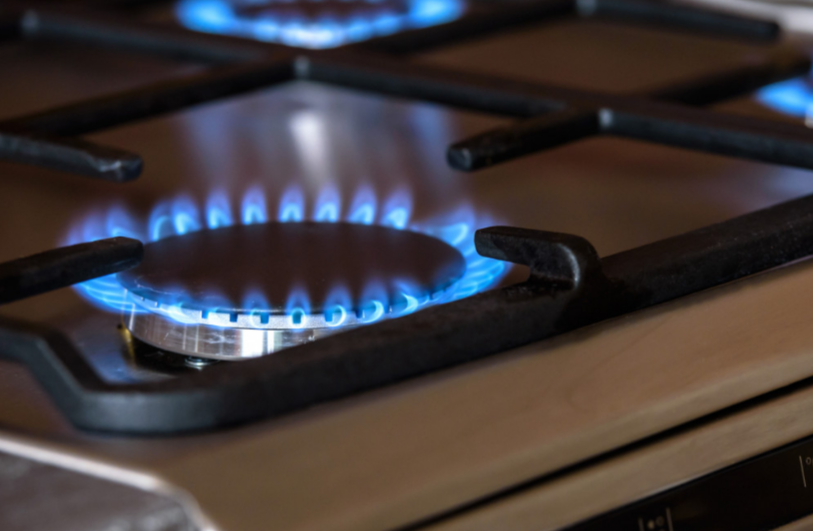 Юные ставропольчане примут участие во Всероссийской олимпиаде «Безопасность начинается с тебя»