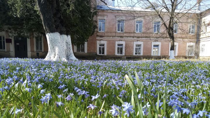 Коллектив «СККПСБ №1» поддержал Ставрополье в финале Всероссийской премии «Служение»