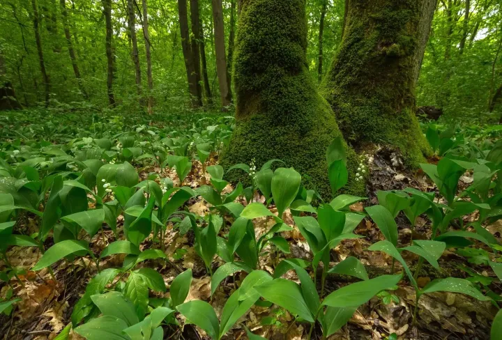 фото минприроды края 