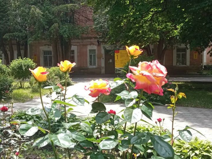 В 2026-м психологическую помощь на Ставрополье получили 653 ветерана СВО