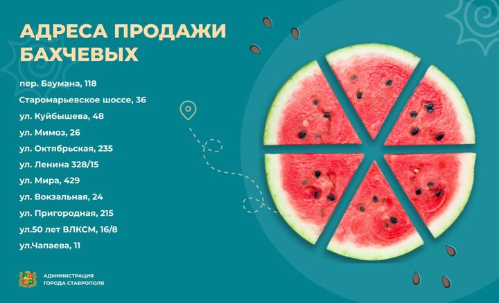В Ставрополе купить арбузы можно в 11 точках